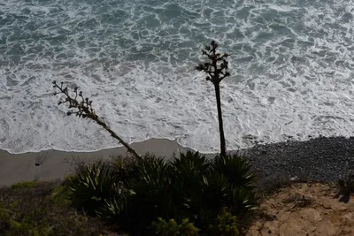 DSC_6982 (Large).JPG